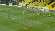 Premier League Goal GIF by Watford Football Club