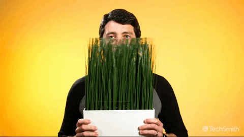 Look Shake GIF by TechSmith