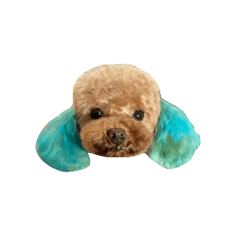 hamandbone giphygifmaker cute dog omg Sticker