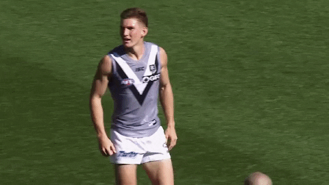 Football Celebration GIF by Port Adelaide FC