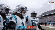 Carolina Panthers Football GIF by NFL