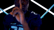 Old Dominion Sport GIF by ODU Football