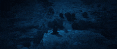 Power Mountain GIF by Better Noise Music