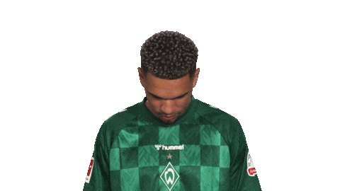 Look Up Werder Bremen Sticker by Bundesliga