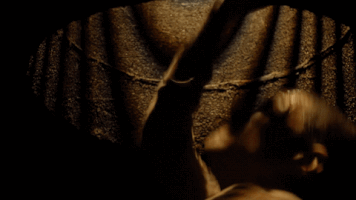 fox GIF by Prison Break