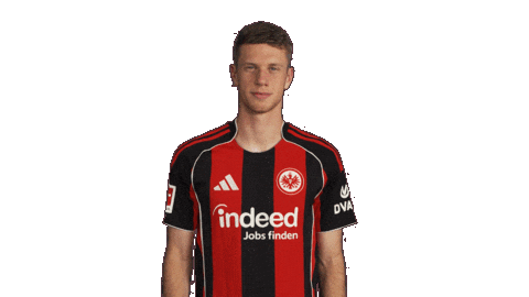 Eintracht Frankfurt Sticker by Bundesliga