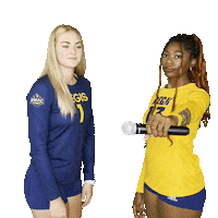 RegisVolleyball volleyball curtis dixon regis Sticker