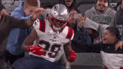 Football Celebration GIF by New England Patriots