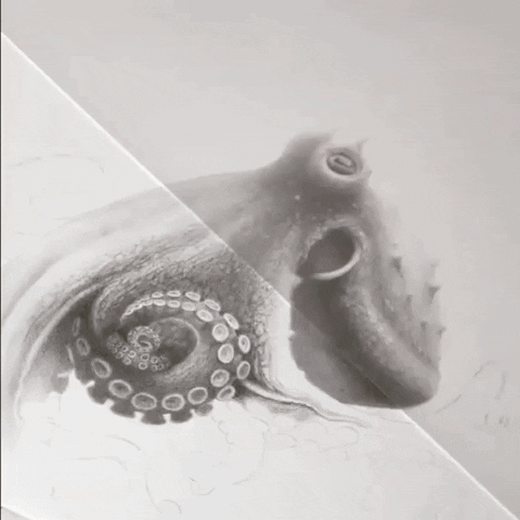 Art Satisfying GIF by OctoNation® The Largest Octopus Fan Club!