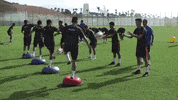 la liga soccer GIF by Sevilla Fútbol Club