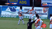 GIF by TD Más