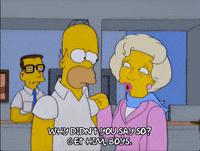 talking homer simpson GIF