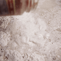 sourdoughdisco disco sourdough GIF