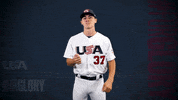 Pro GIF by USA Baseball