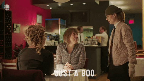 Baroness Von Sketch Show Cbc GIF