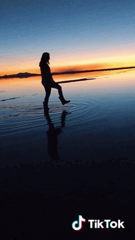 gabrielaguimaresalvarenga giphyupload GIF