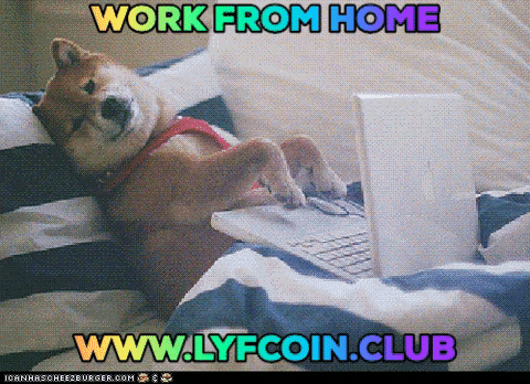 LYFCOINOFFICIAL giphygifmaker giphyattribution GIF