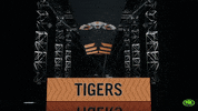 Rugby League Try GIF by FoxSportsAus