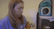 nat geo wild yukon vet GIF by Dr. Oakley, Yukon Vet