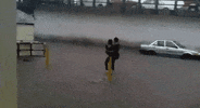 water falling GIF by Daily Mail Online