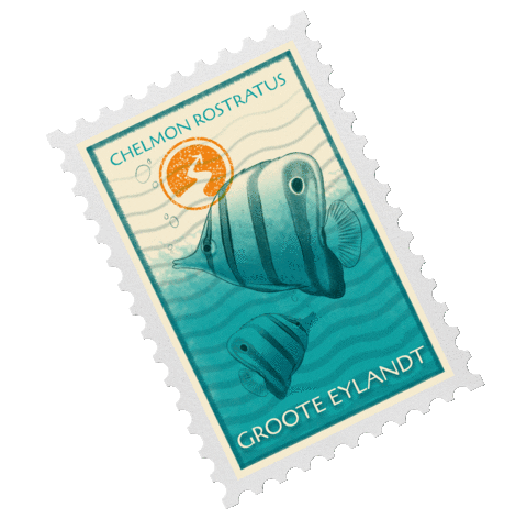 NortherHQ giphyupload ocean fish australia Sticker