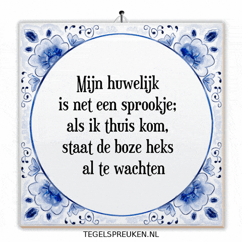 Humor Nl GIF by Tegelspreuken.nl