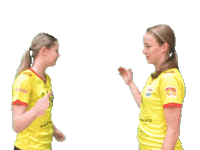 Eredivisie Volleybal Sticker by Draisma Dynamo