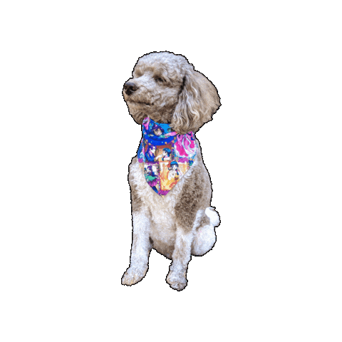 Poodle Anime Dog Sticker by Geekster Pets