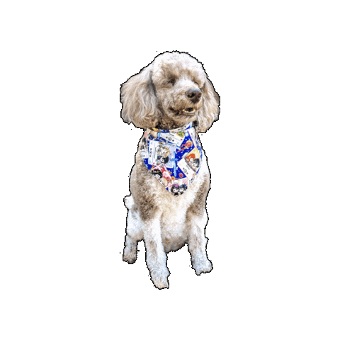 Poodle Anime Dog Sticker by Geekster Pets