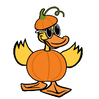 Car Wash Duck Sticker by Quick Quack