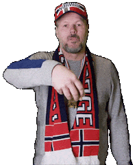 Nations League Norway Sticker by VG