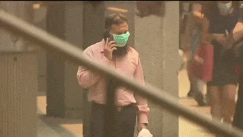 australia wildfires australia fires GIF