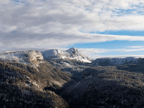 FranchiseCHECK_de giphygifmaker work business franchise GIF