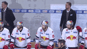 red bull yes GIF by EC Red Bull Salzburg