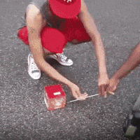 Fireworks Terry GIF