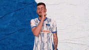 Bundesliga Berlin GIF by Hertha BSC
