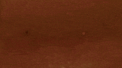 Looking Music Video GIF by Donna Missal