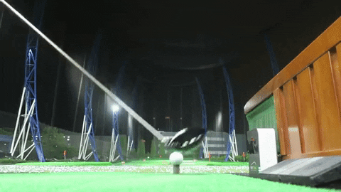 majorworld giphygifmaker GIF