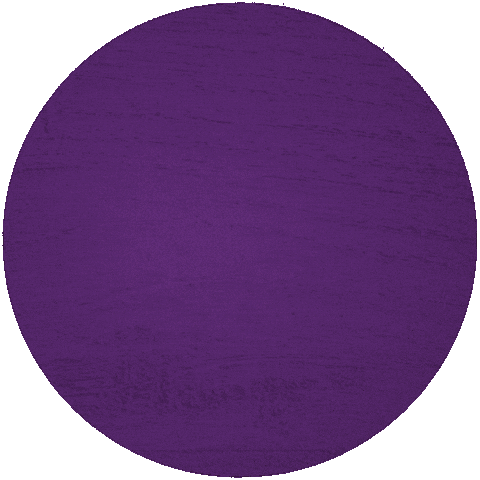 Festa Da Uva Sticker by Festa da Nacional da Uva