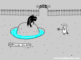 glas2018 gorilla island GIF