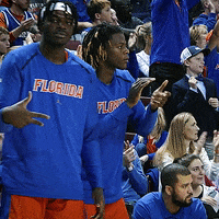 Chandler Parsons Reaction GIF by Florida Gators