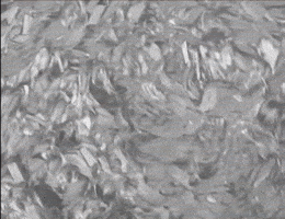 C-G giphyupload GIF