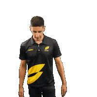 Team France Superleague Sticker by Super League Triathlon