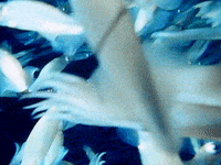 Talk Talk 80S GIF