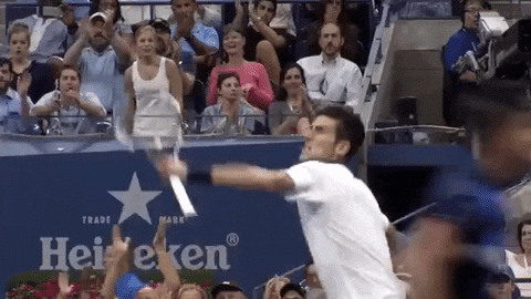 excited novak djokovic GIF by US Open