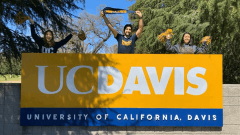 university of california fun GIF by UCDavis