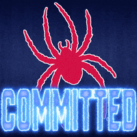 GIF by Richmond Spiders