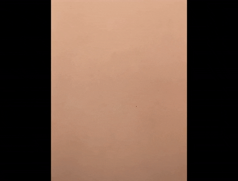 GIF by ayshabilgrami