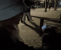 We Should Go There Cute Girl GIF