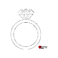 Diamond Ring Sticker by Warrior Doors